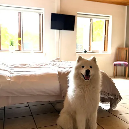 Apartmanhotel Vindvadet